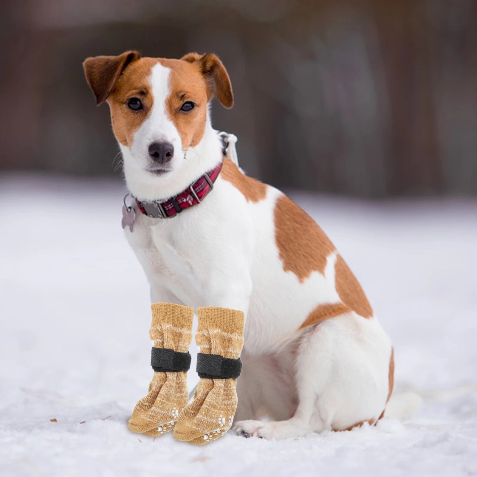 

4 Pcs Pet Socks Non-slip Bottom Wear-resistant Cotton Washable Paw Protectors for Small Dogs Adorable Paws Dog Supplies