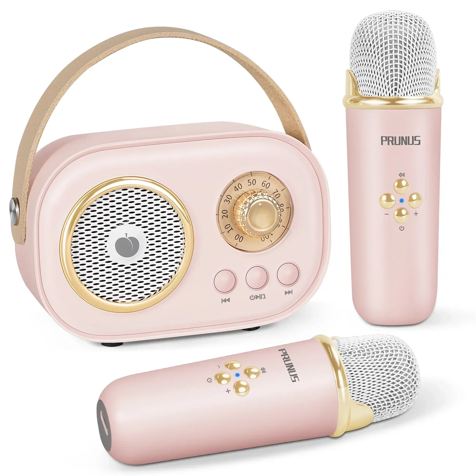 Mini Karaoke Machine for Kids,Portable Bluetooth Speaker with 2 Wireless Microphones for Kids and Adults Birthday Party Home