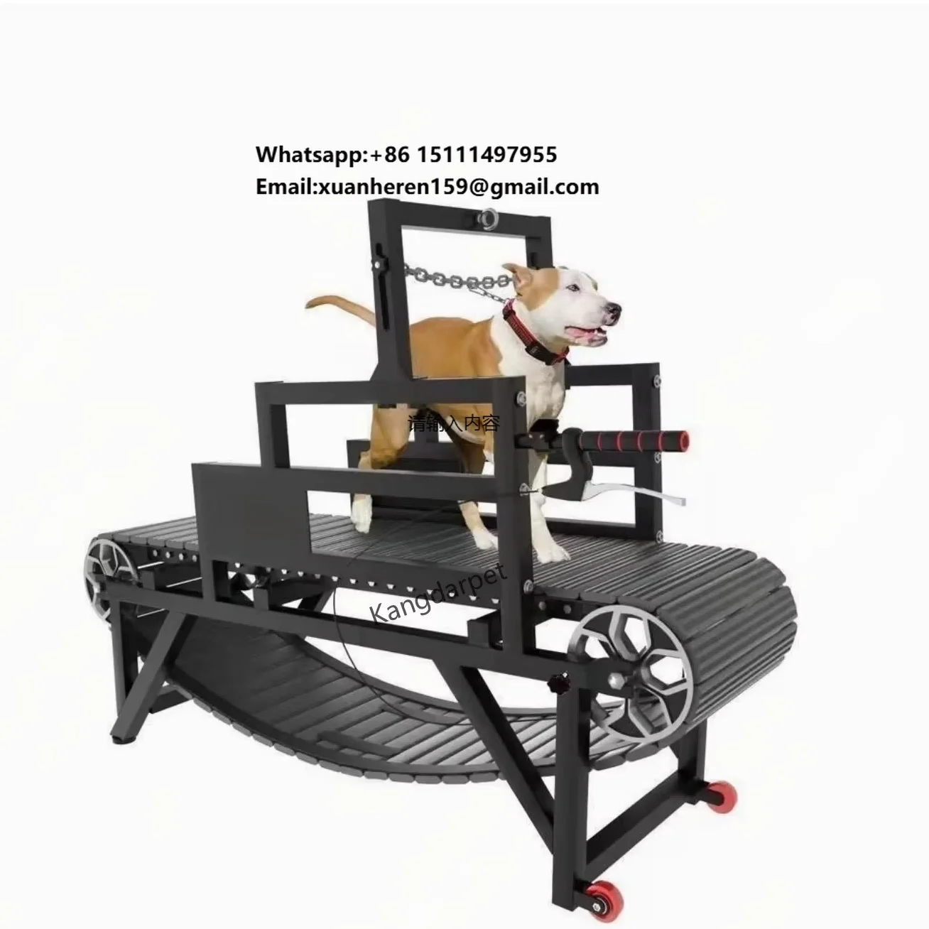 Professional Foldable Dog Treadmill for Small/Large Dogs | Adjustable Speed Pet Running Machine | Rehab & Training Equipment