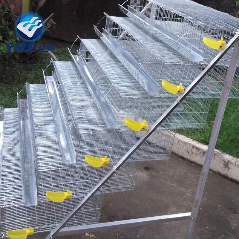 Quail Layer Battery Cages Design 200 to 600 Birds Hot Sale in Malaysia Automatic Egg Collection Quail Cages for Egg Production