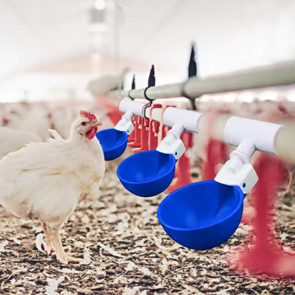 5Pcs Chicken Waterer Cup Large Automatic 1/2