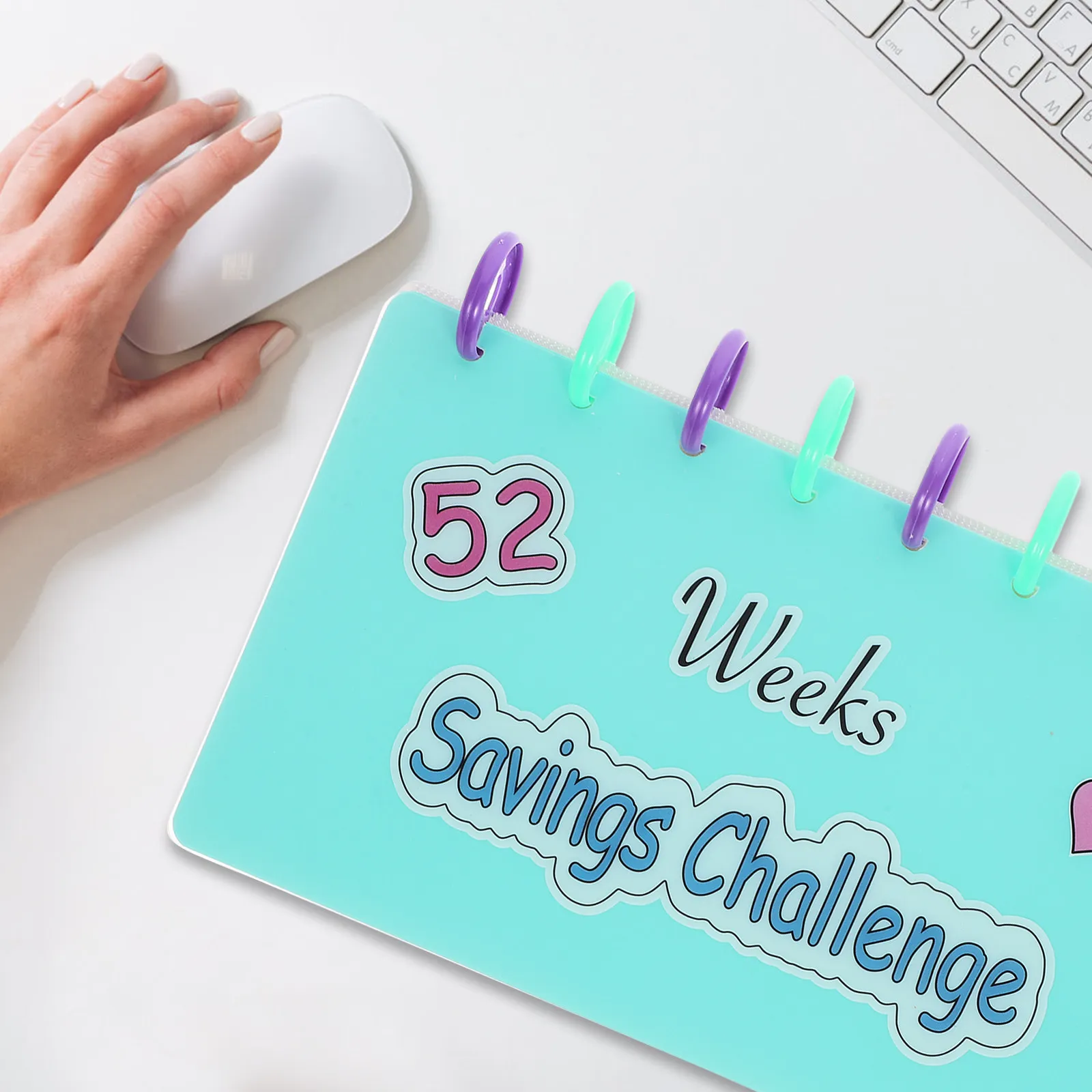 

Budget Binder Loose-Leaf Savings Challenge Organizer with Cash Pouches for Money Tracking Budgeting Planner Financial Management