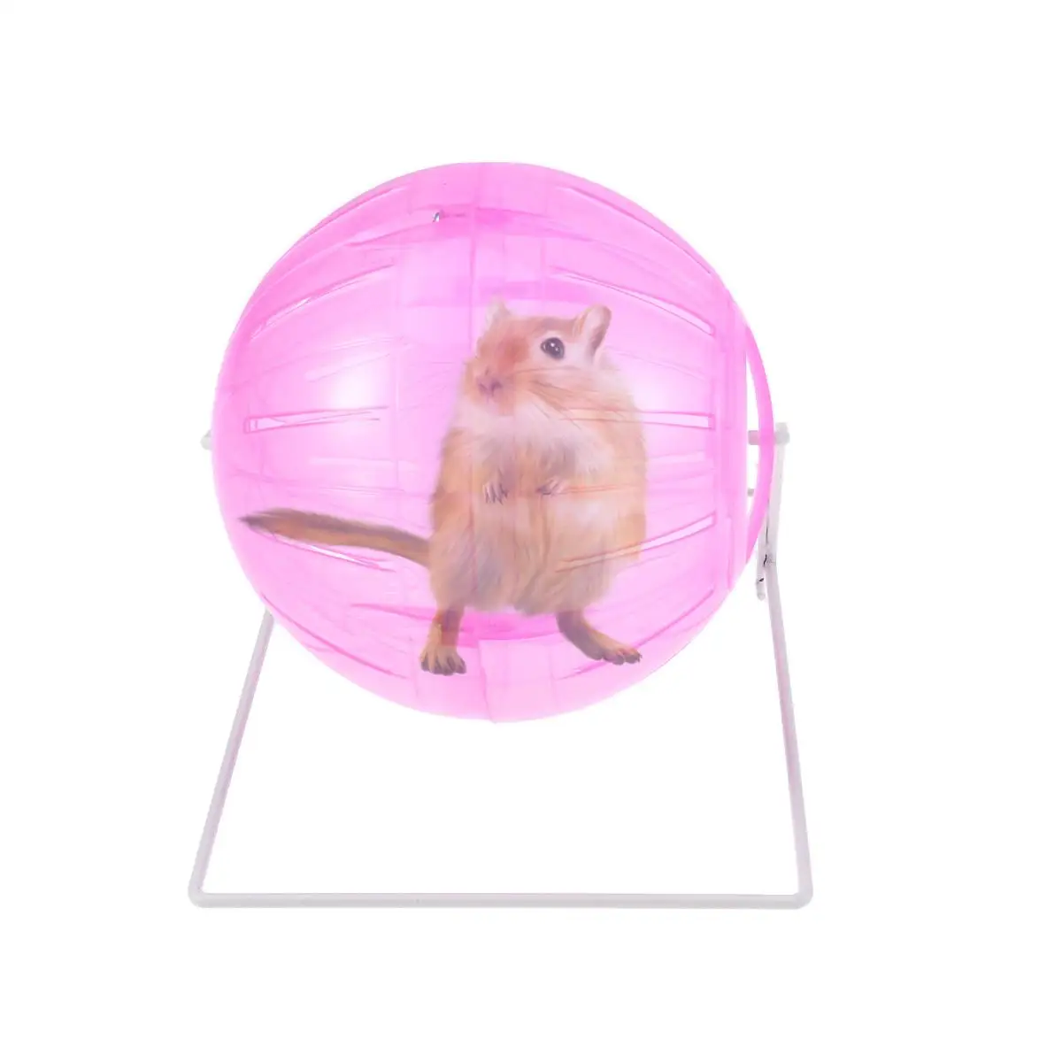 

Hamster Running Plastic Metal No Toxic Safe Encourage Exercise Relieves Boredom Pet Toys Pink Fitness Guinea Pig Small Pets