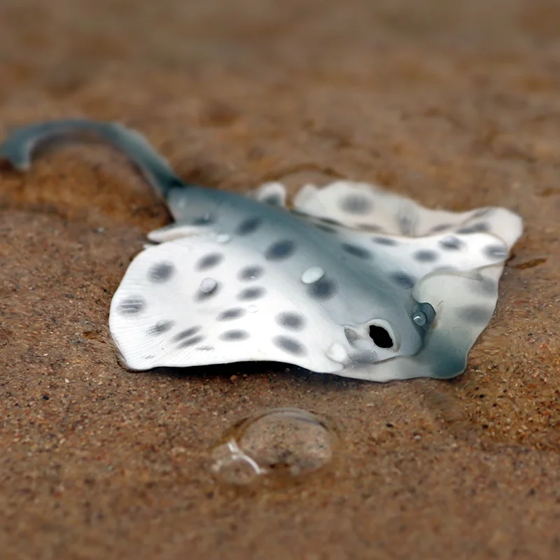 Oenux Sea Life Animals Dolphin Crab Shark Turtle Model Action Figures Figurines Ocean Marine Aquarium Miniature Education Toys