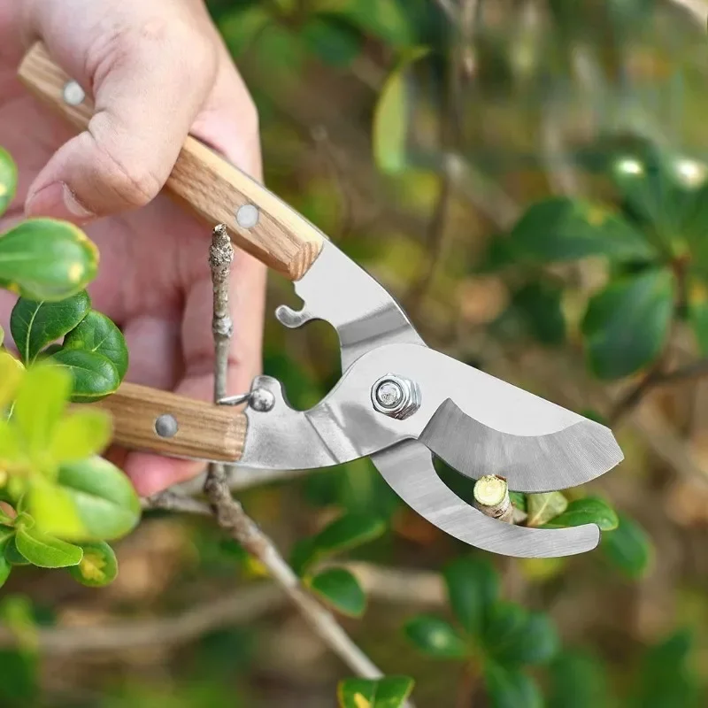Gardening Shears Pruning Labor-saving Branches Fruit Branches Garden Flowers Specialized Safety Lock Design