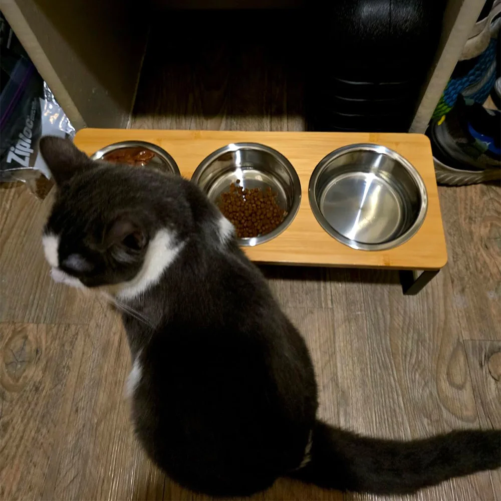 elevated-cat-bowl-set-3-stainless-steel-bowls-with-10°-tilted-iron-stand-raised-feeding-watering-station-for-cats