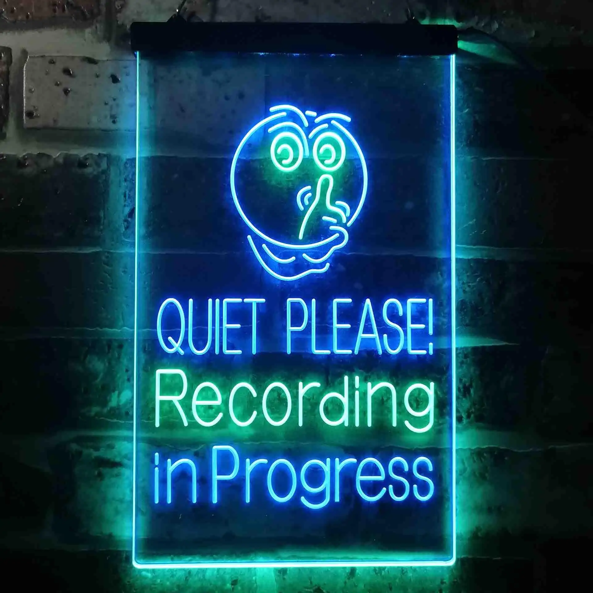 Quiet Please Recording in Progress Studio Dual Color Led Neon Sign st6-i3580
