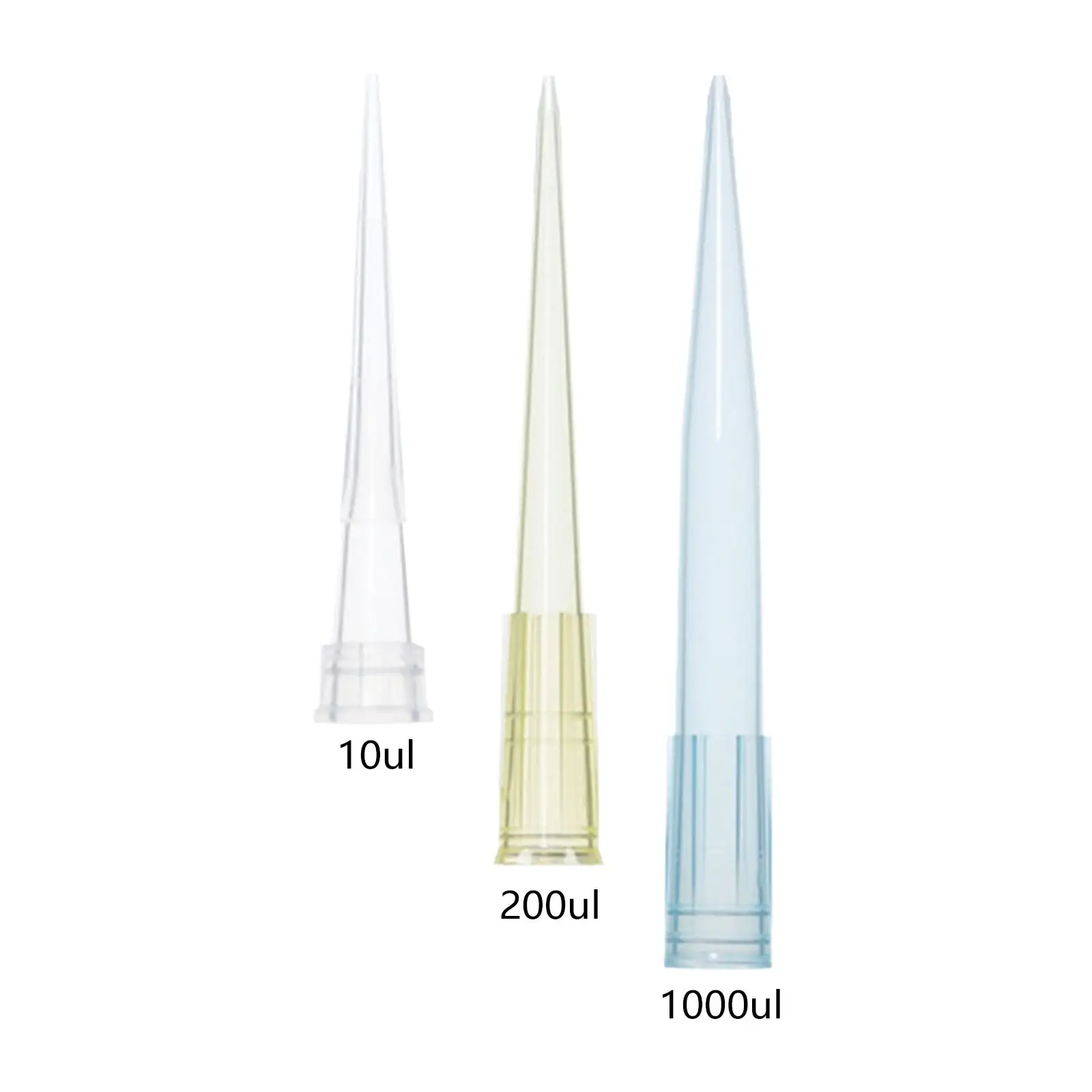 

1000 Count Pipette Tips for Liquid Transfer, Micropipettors