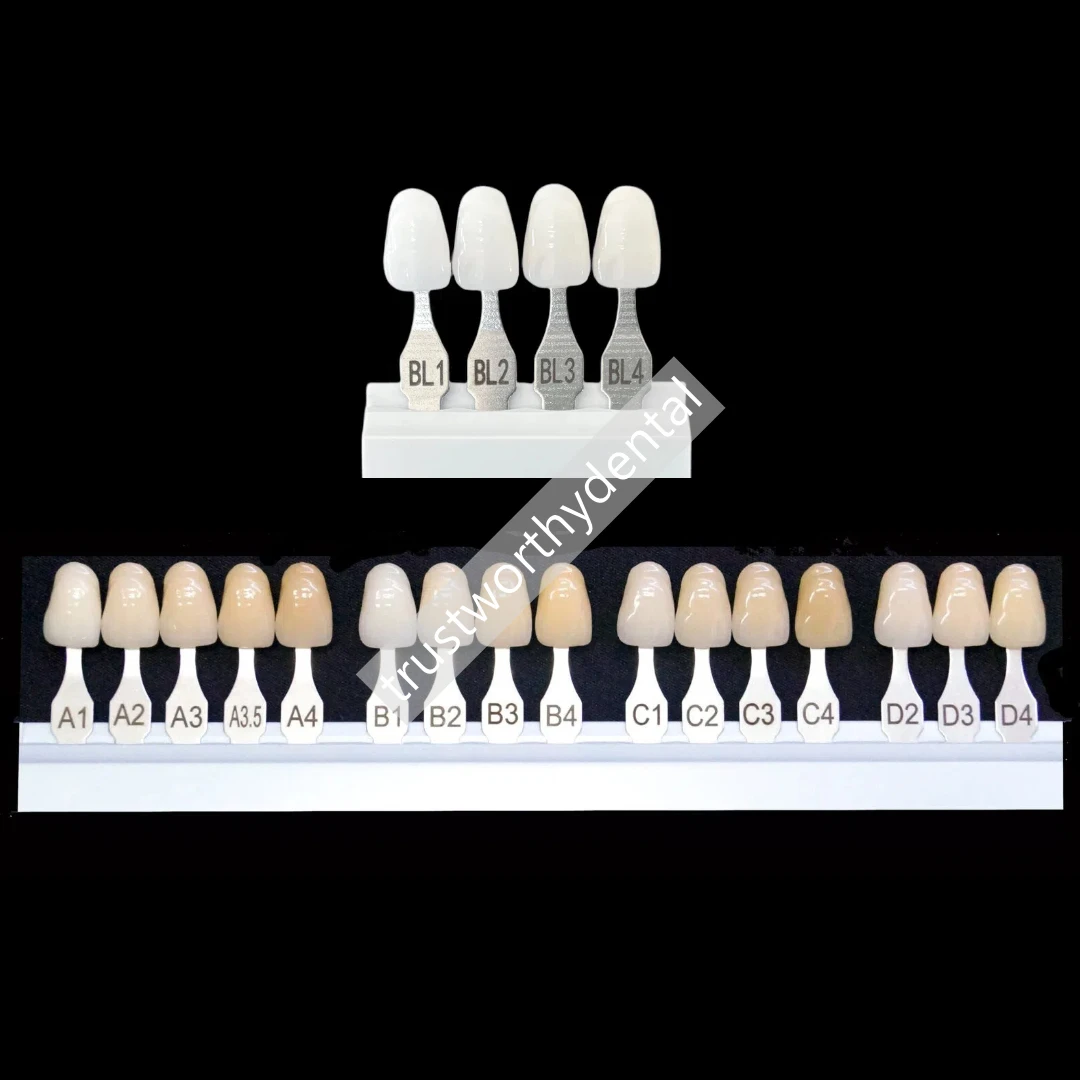 Dental A–D Shade Guide with Bleach Shades Detachable Bleach Chart 16 Basic Shade 4 Bleach Shade Teeth Whitening Based Vita