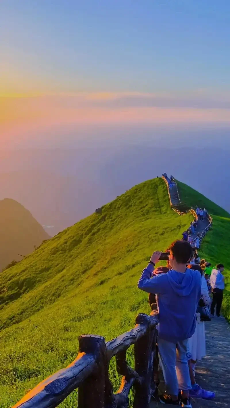 

Накладки-удлинители на подрулевые лепестки для Audi RS6 4.0T Avant 2016-2018, RS7 4.0T Sportback 2016