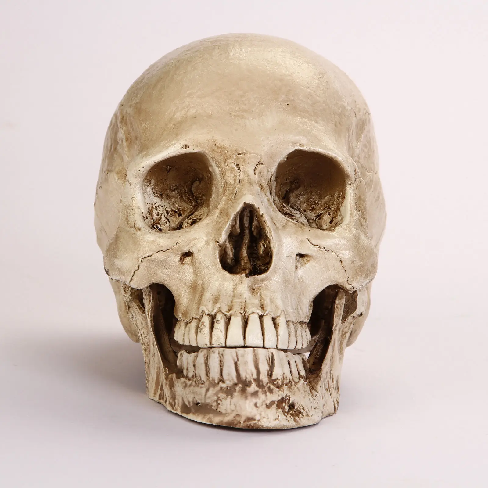 Human Skull Lifesize 1:1 Resin Replica Medical Model Aquarium Ornament Fish Tank Waterscape Cave Halloween Home Decoration