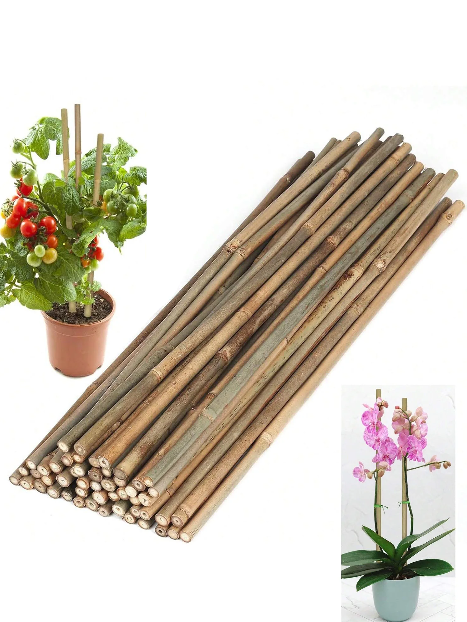 Bamboo Garden Wooden Stakes Ecological Friendly Bamboo Plants Wooden Stakes, Climbing Plants Bamboo Sticks Flowers and Climbing