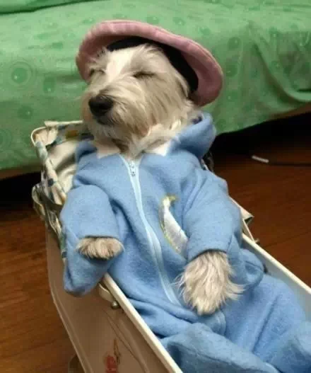 

Differential gear set for 1:10 model car slash Big S Raimo Differential driven steel gear Huanqi toys 1/10 of 727 HQ727 trxs