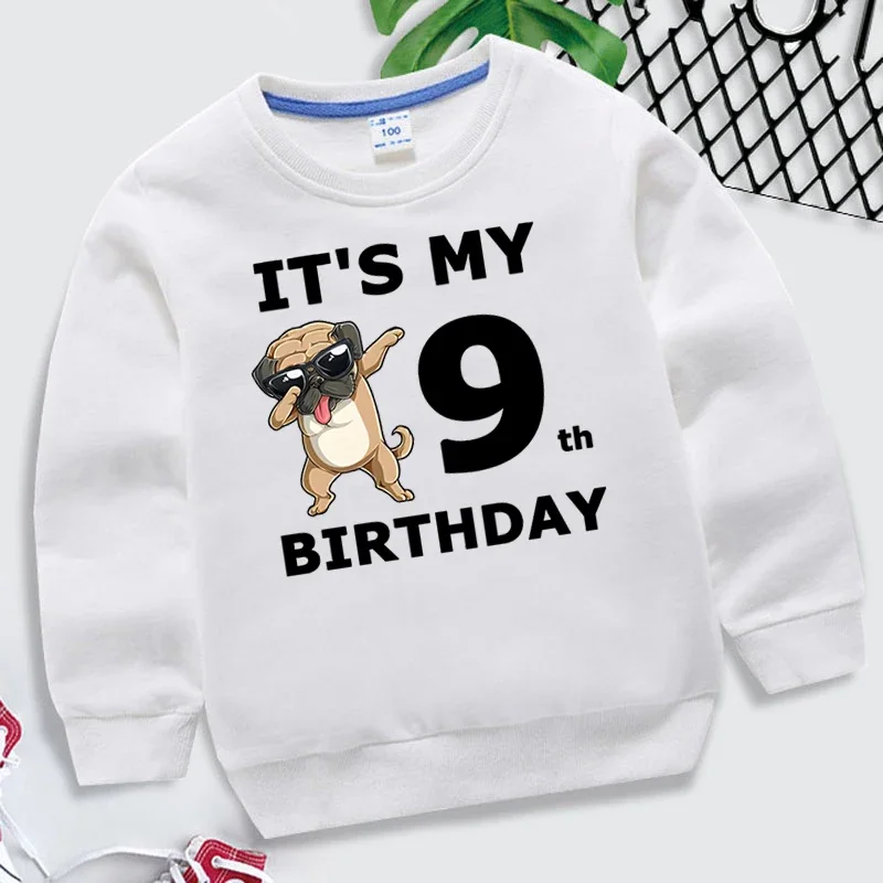 Cartoon Dogs Kid Sweatshirts Birthday Number 1-10 Children Pullover Happy Birthday Boy Girl Hoodie Casual Clothes Baby Tops