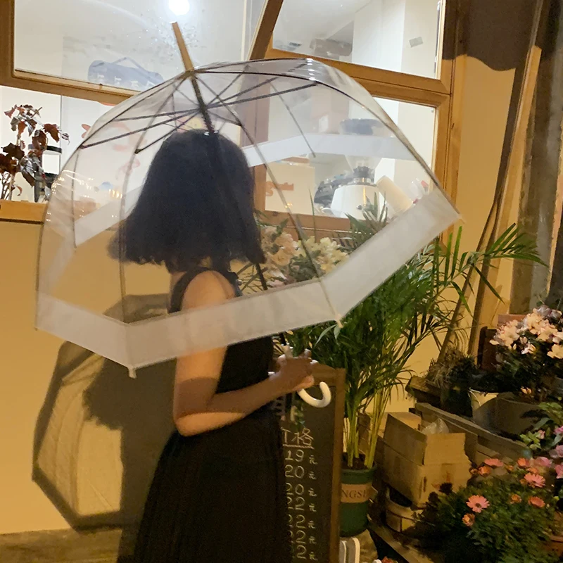 Korean INS Transparent Umbrella Long Handle Automatic Couple Net Red Umbrella Edge Reinforcement Windproof Female Hook Umbrella