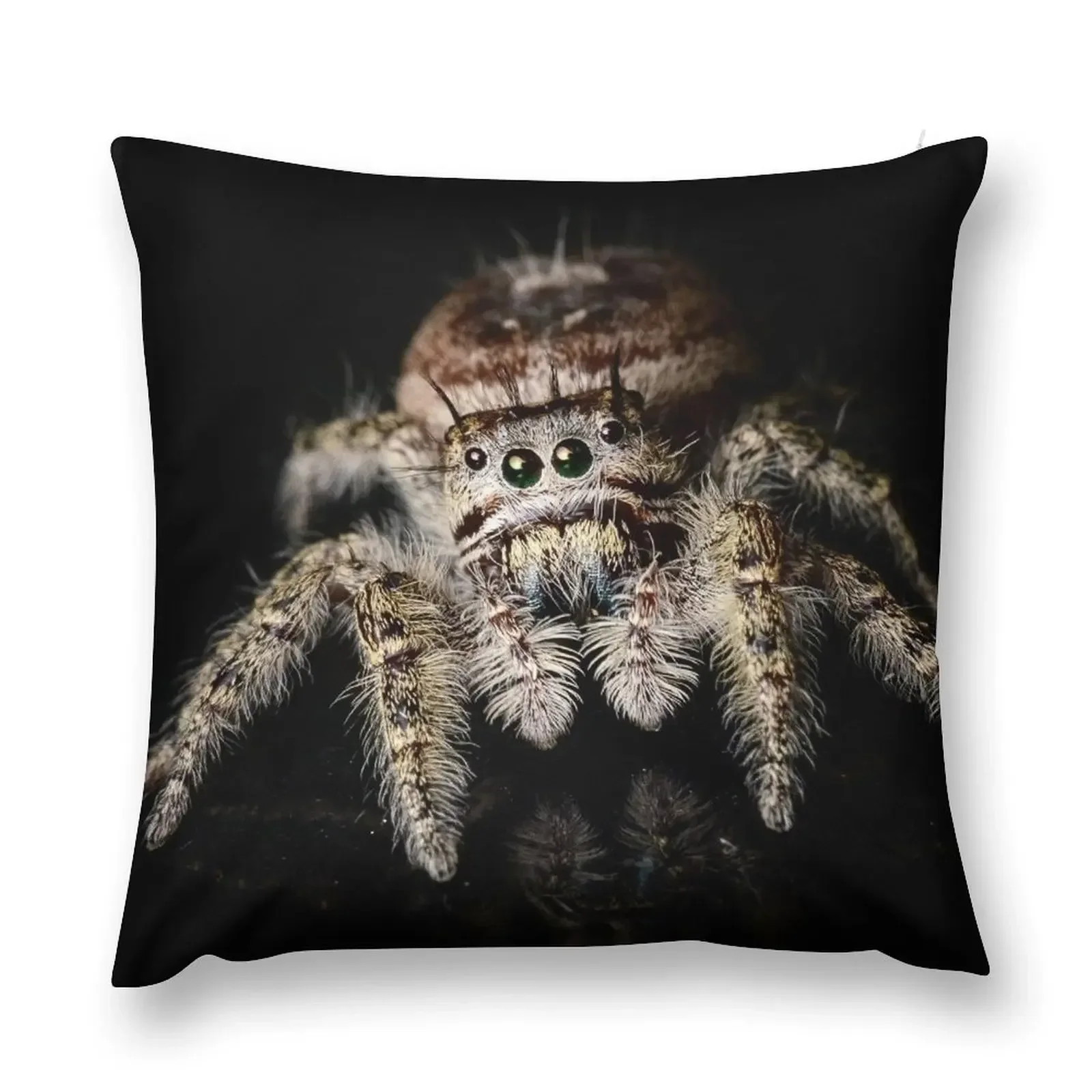 

Putnam's Jumping Spider (Phidippus putnami) Throw Pillow Sofa Cushions Covers Sitting Cushion pillow