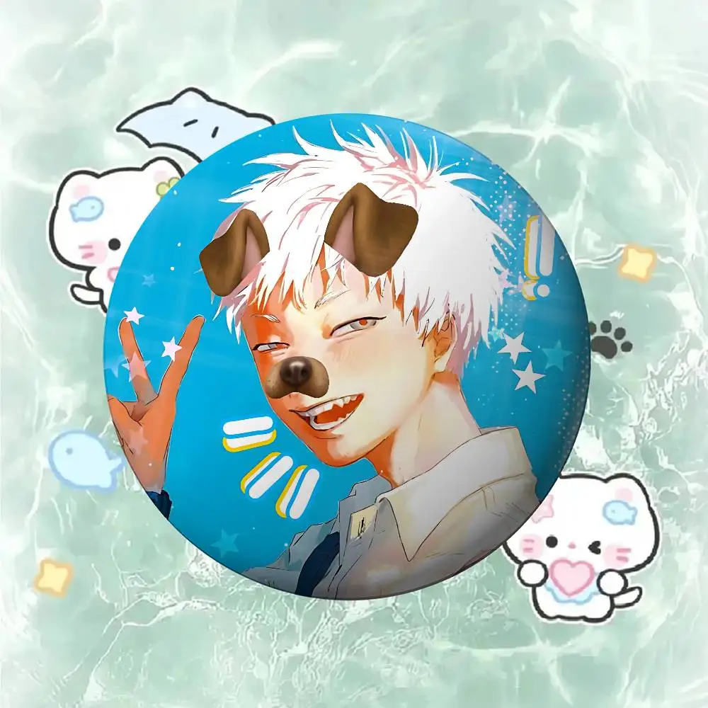 Anime T-The Summer H-Hikaru Died Badge Pins For Friend, Backpack, Clothing, Collectible Accessories, Jewelry Gift