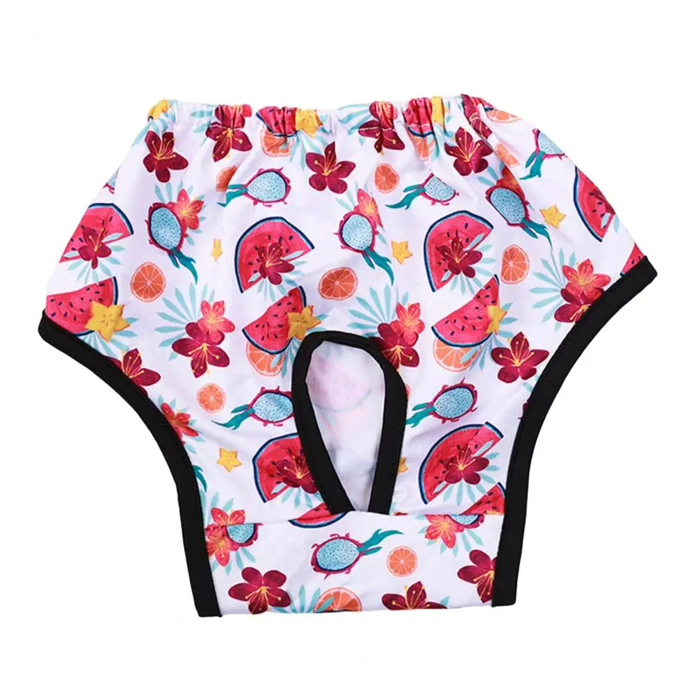 Absorbent Pet Menstrual Pads Pant Female Dog Diaper Shorts Cartoon Pattern Breathable Puppy Underwear