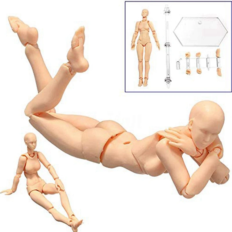 Body Doll, Artists Manikin Blockhead Jointed Mannequin Drawing Figures Male+Female Set (Skin Color)