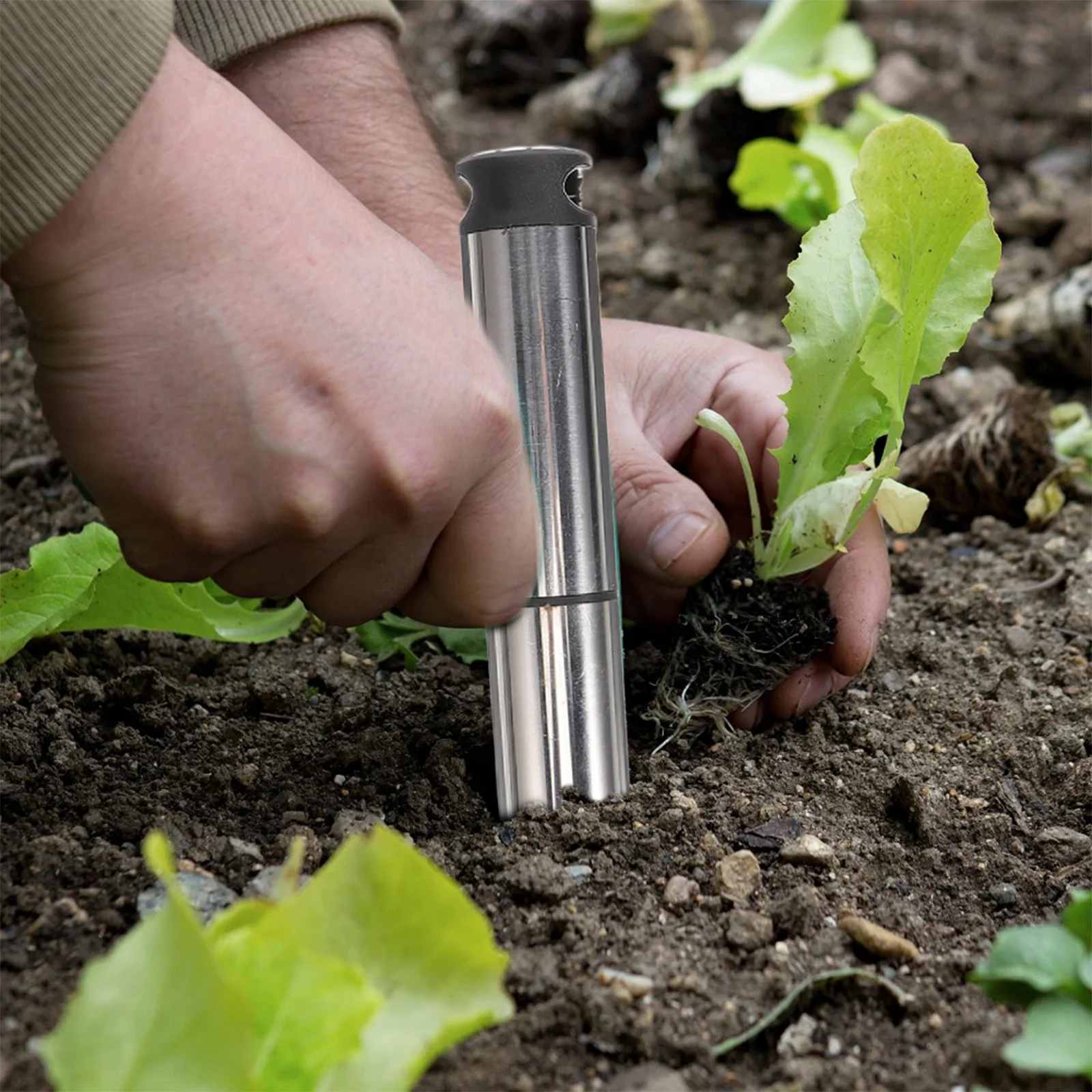 

Planting Transplanter Tool Stainless Steel Manual Hole Punch Garden Bulb Planter Release Digger Sowing Dispenser Gardening