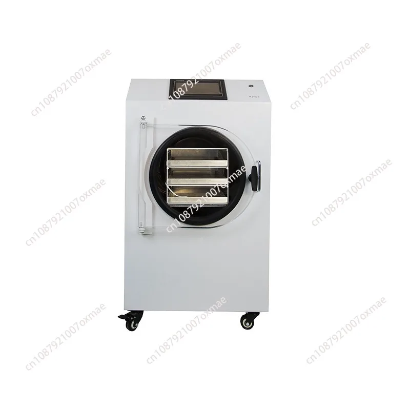 Vacuum Freeze Dryer Dry Machine Price