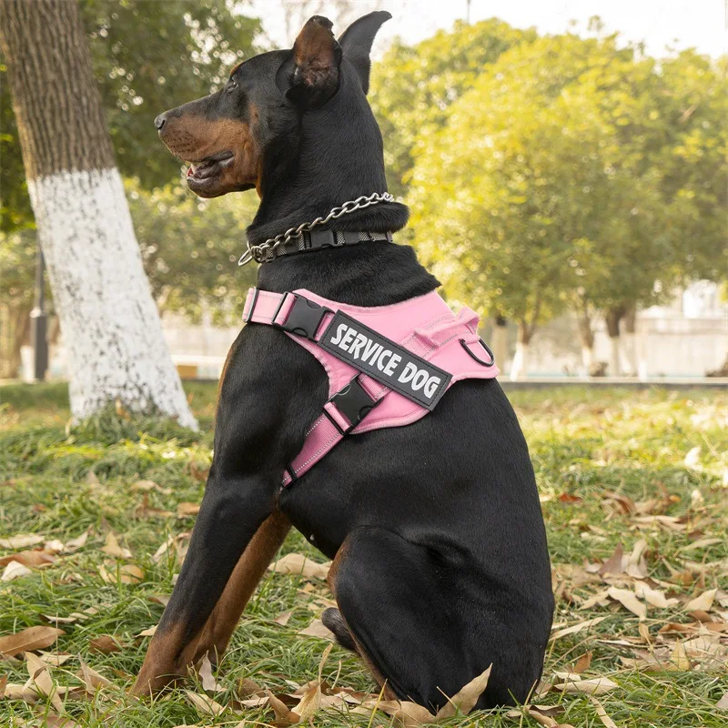 Arnês para cães ajustável sem puxar, colete pet, reflexivo e respirável, suporte emocional