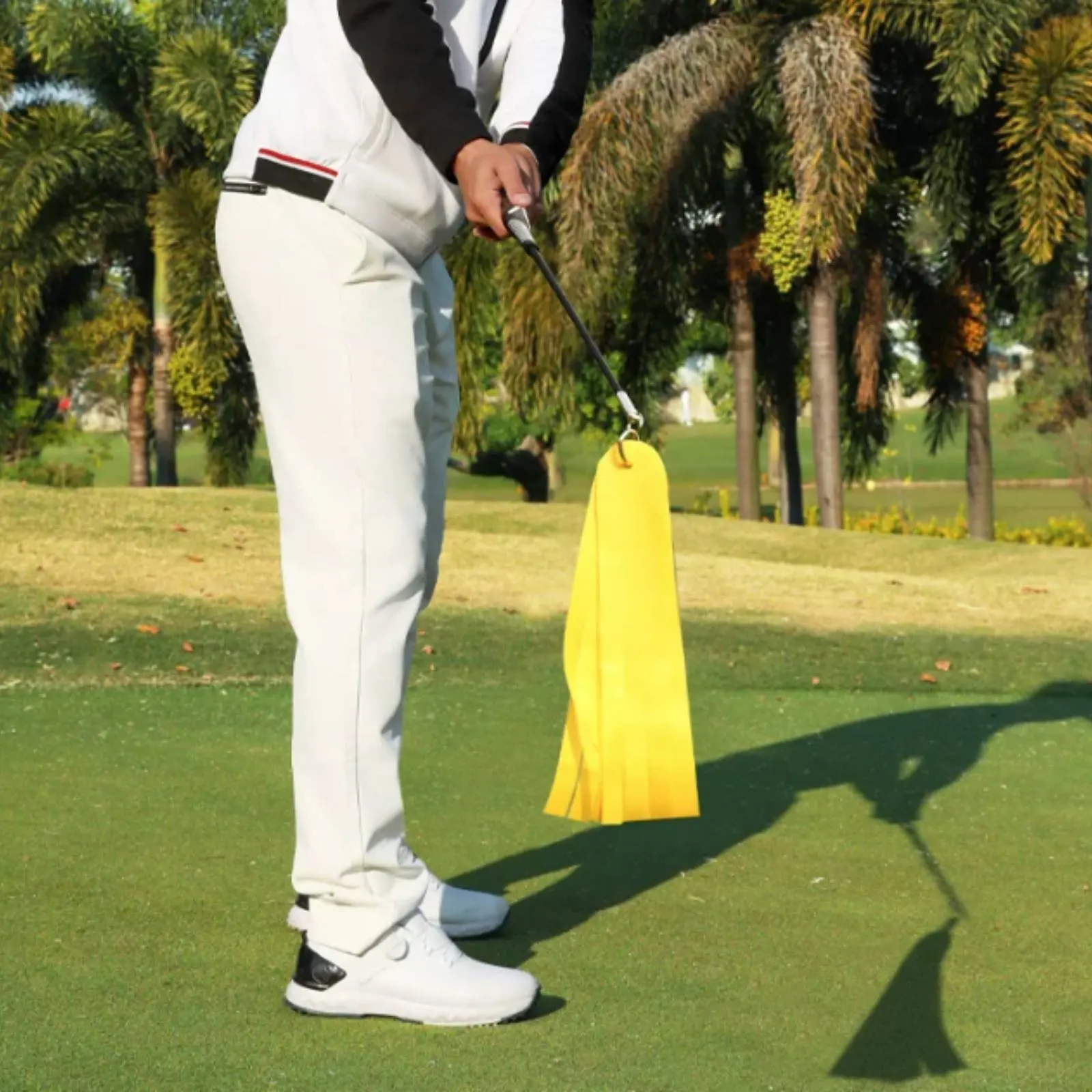 

Golf Tempo Coach Sound Feedback Tempo Training Club Weighted Swing Coach Portable Weighted Golf Swing Stick Flexible Shaft