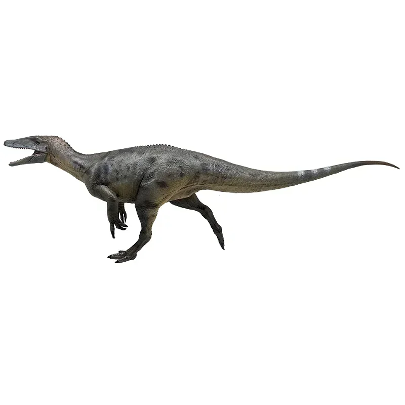 Megaraptor Dinosaur Model Ancient Prehistroy Animal Toy 1:35