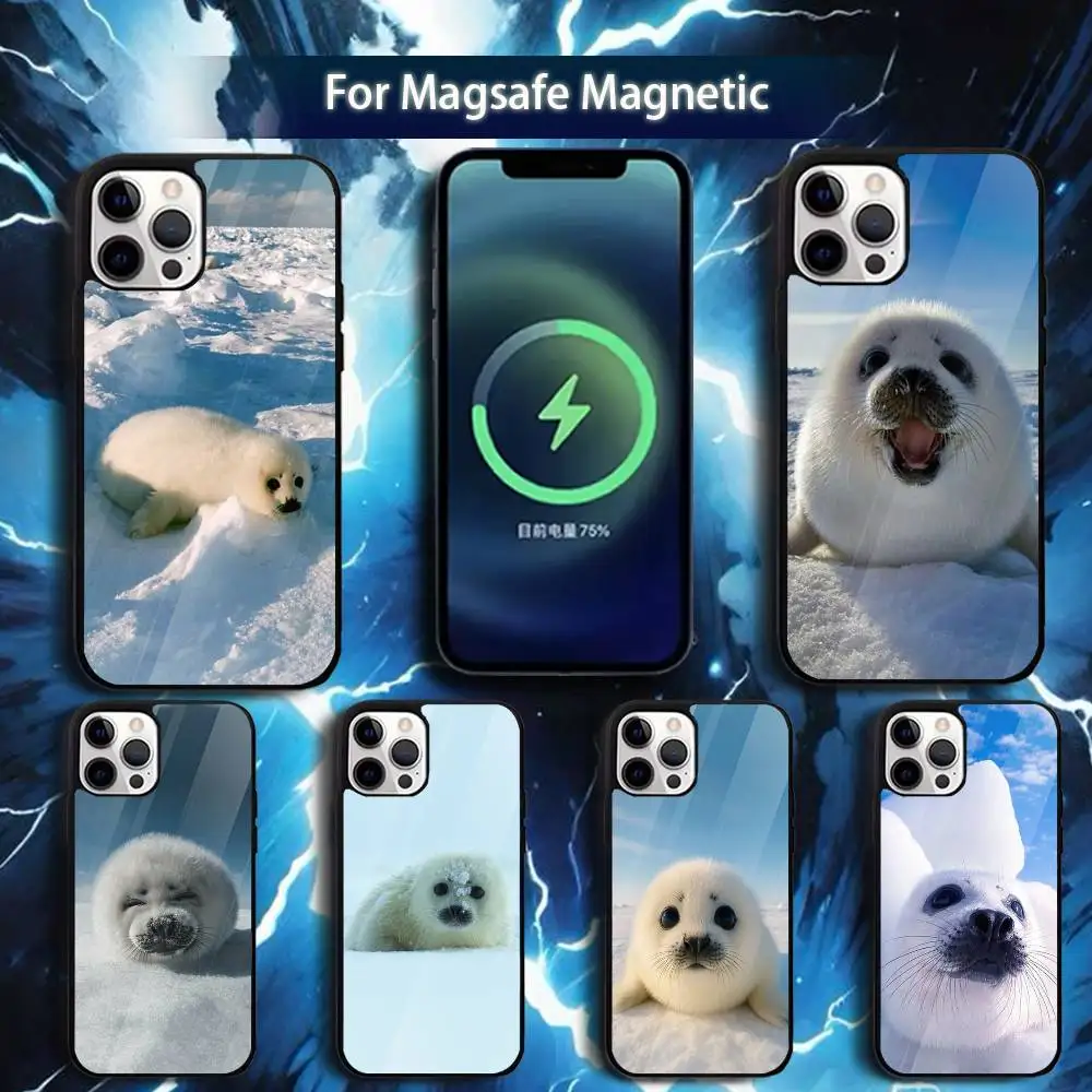 

Seal A-Animal C-Cute Phone Case For iPhone 17,16,15,14,13,12,11,Pro,Max,Plus,Mini,Magsafe,Magnetic Wireless Charging Case