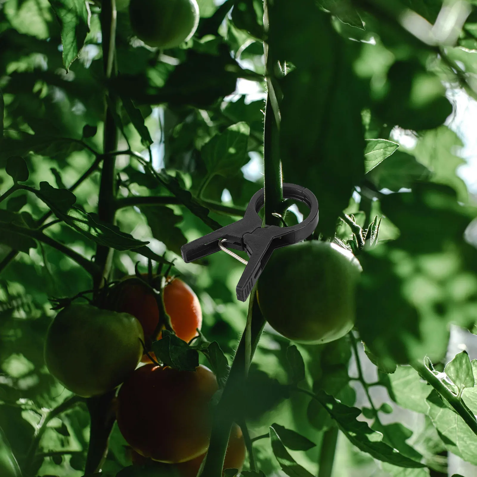 

100Pcs Bindman Clip for Plants Plastic Stem Support Clips Garden Vine Clamps Fixing Tools for Tomatoes Grapes Watermelon Trellis