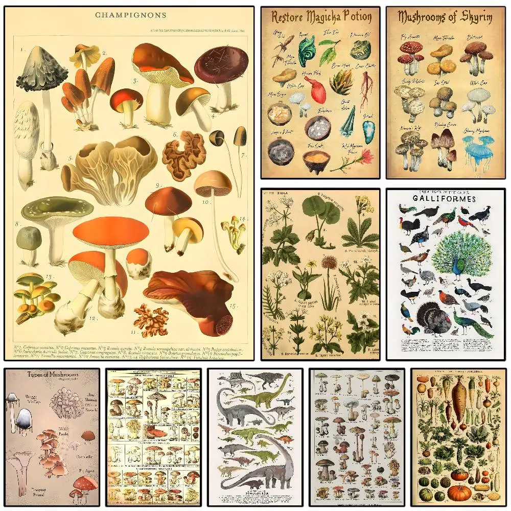 Retro Botanical Art Prints Mushroom Poster Art With Prints H