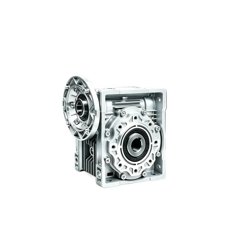 Worm Gear Reducer 30 40 50 63 75 90 110 Turbo Speed Reducer For Industrial Machinery Transmission High Torque Output
