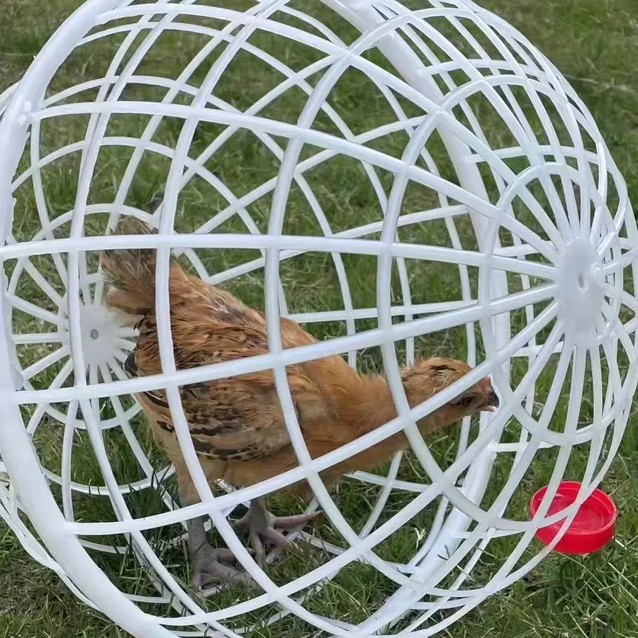 Rollable round cage Ball type Internet celebrity Chicken ball type Chicken cage Rabbit  Small animal protective cage