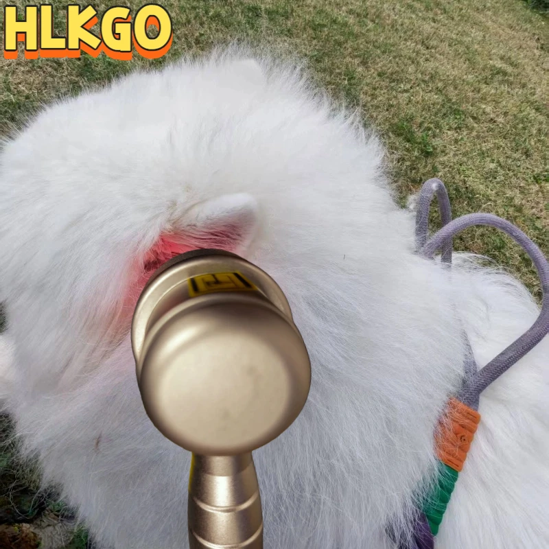 

5pcs 808nm Laser Therapy Device Full Back Neck and Body Relaxation Machine Physiotherapy Equipment Home Use