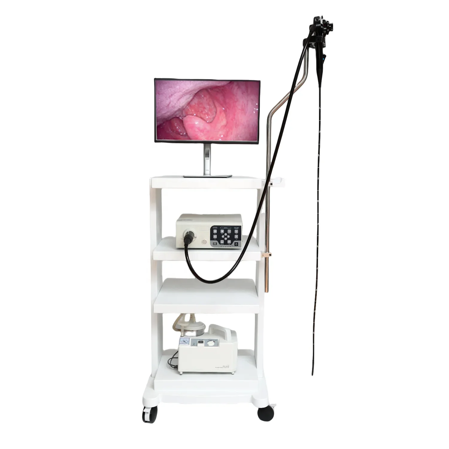 Vericare 8.3mm tube veterinary endoscope camera flexible endoscope VET-1508 for dog/cat