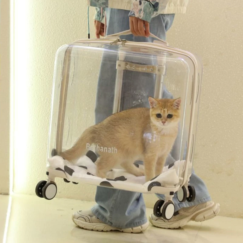 Pets Suitcase Cat Bag Large Transparent Backpack Trolley for Dogs Puppy Carrier Outdoor Travel Accessories Cats Pet Products