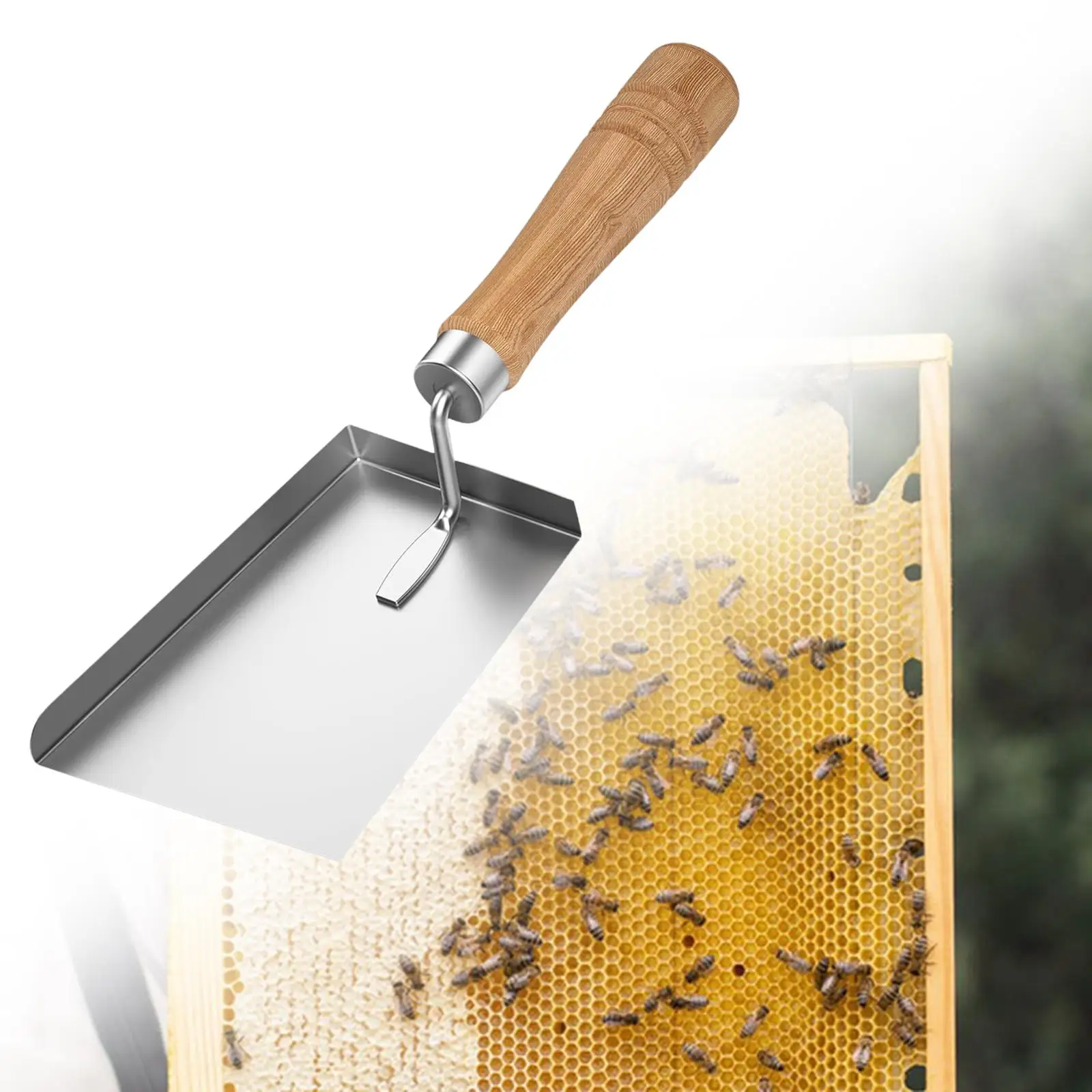 Beehive Shovel Beeswax Scraper Beehive Cleaner Multipurpose Stainless Steel