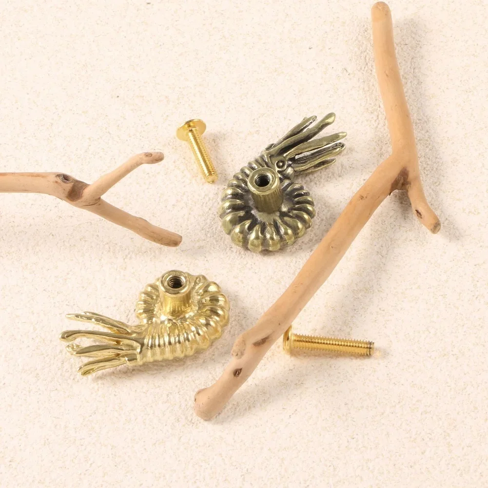 

Ammonite Drawer Handles Door Handle Elegant Ammonite Drawer Handles - Artistic 2-Piece Set For Stylish Decor Door Hardware