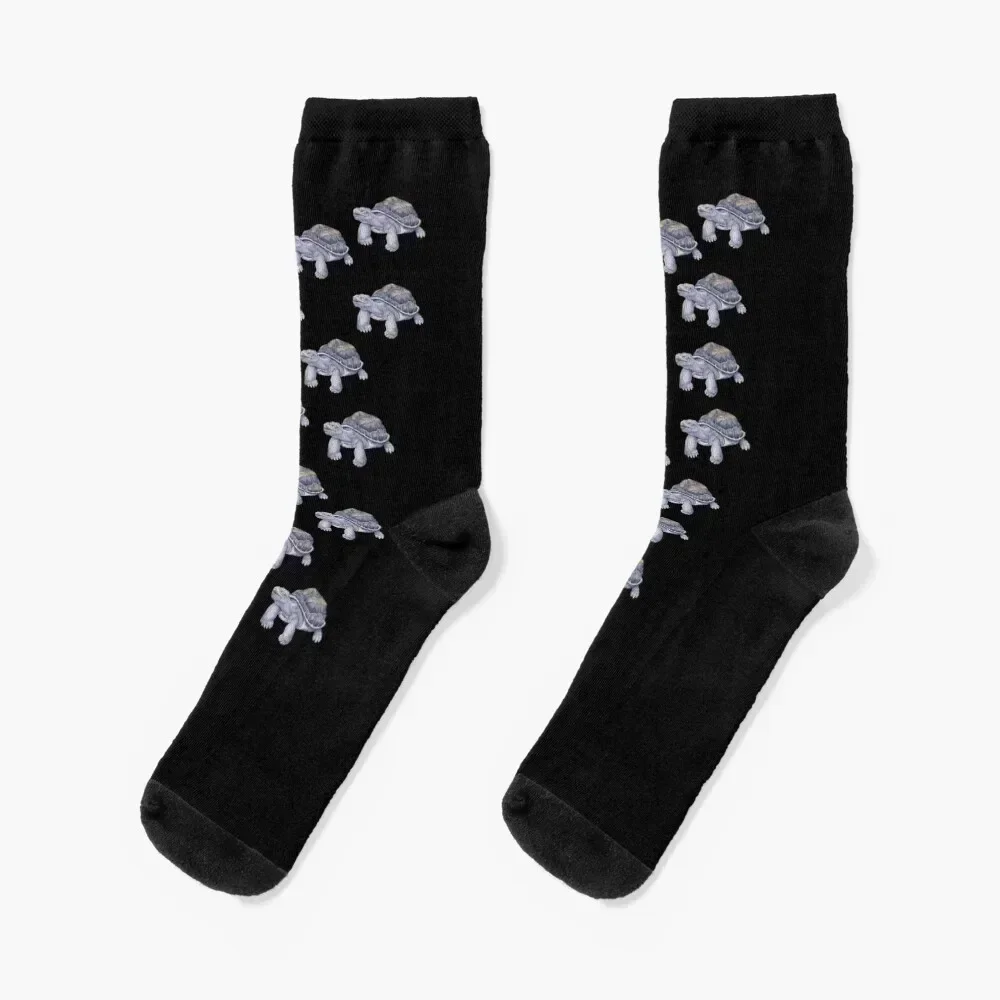 

Tortoise Socks Sports winter gifts new year sports stockings Socks For Women Men's