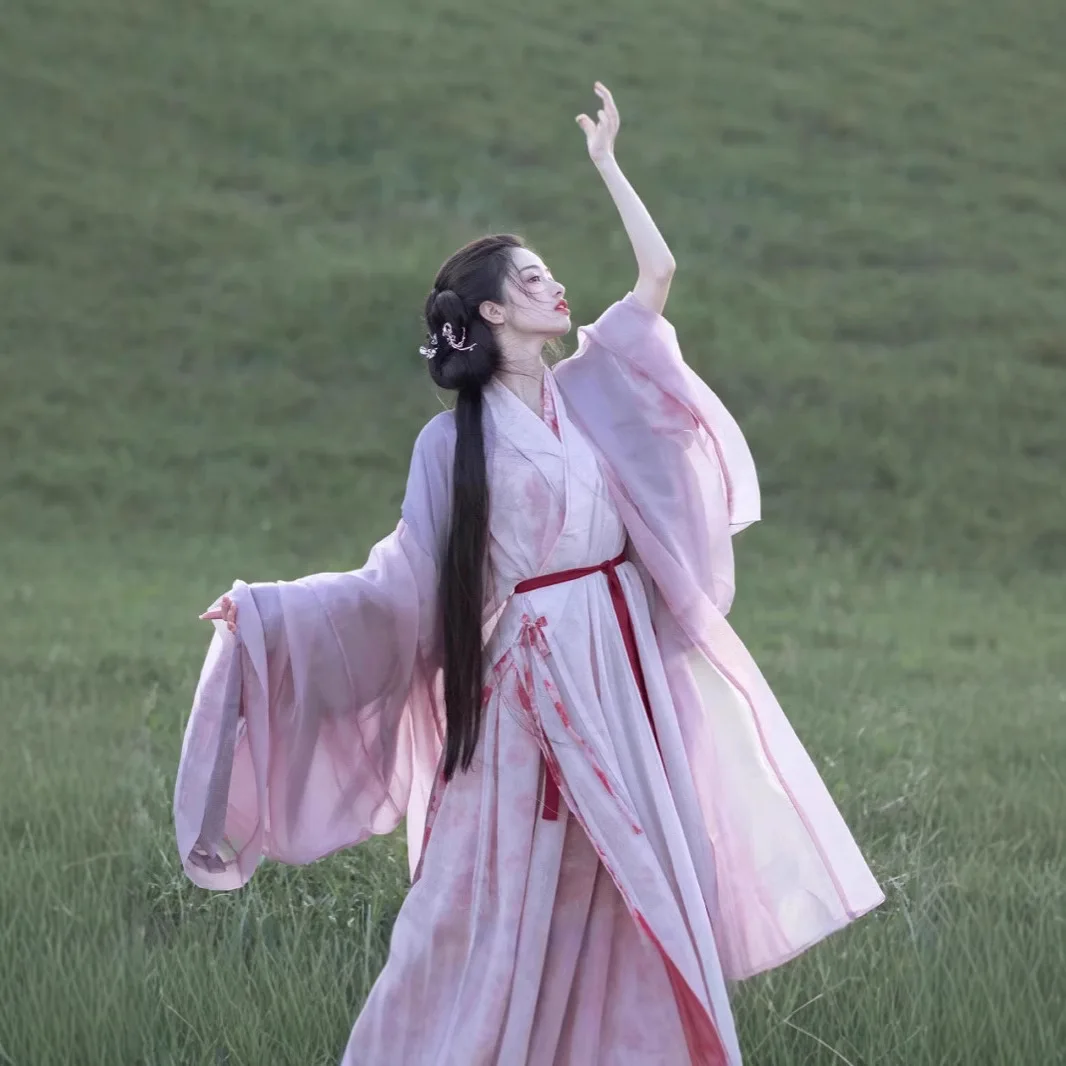 Wei Spring Southern Northern Dynasties, Women's Chinese-Style Ancient Costume Purple Pink Wide Sleeve Hanfu Printed Collar