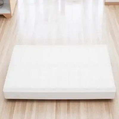 

Microscope Slide Storage Tray 20 Capacity Clear Plastic Box with Marked Slots and Documentation Sheet for Efficient Sample