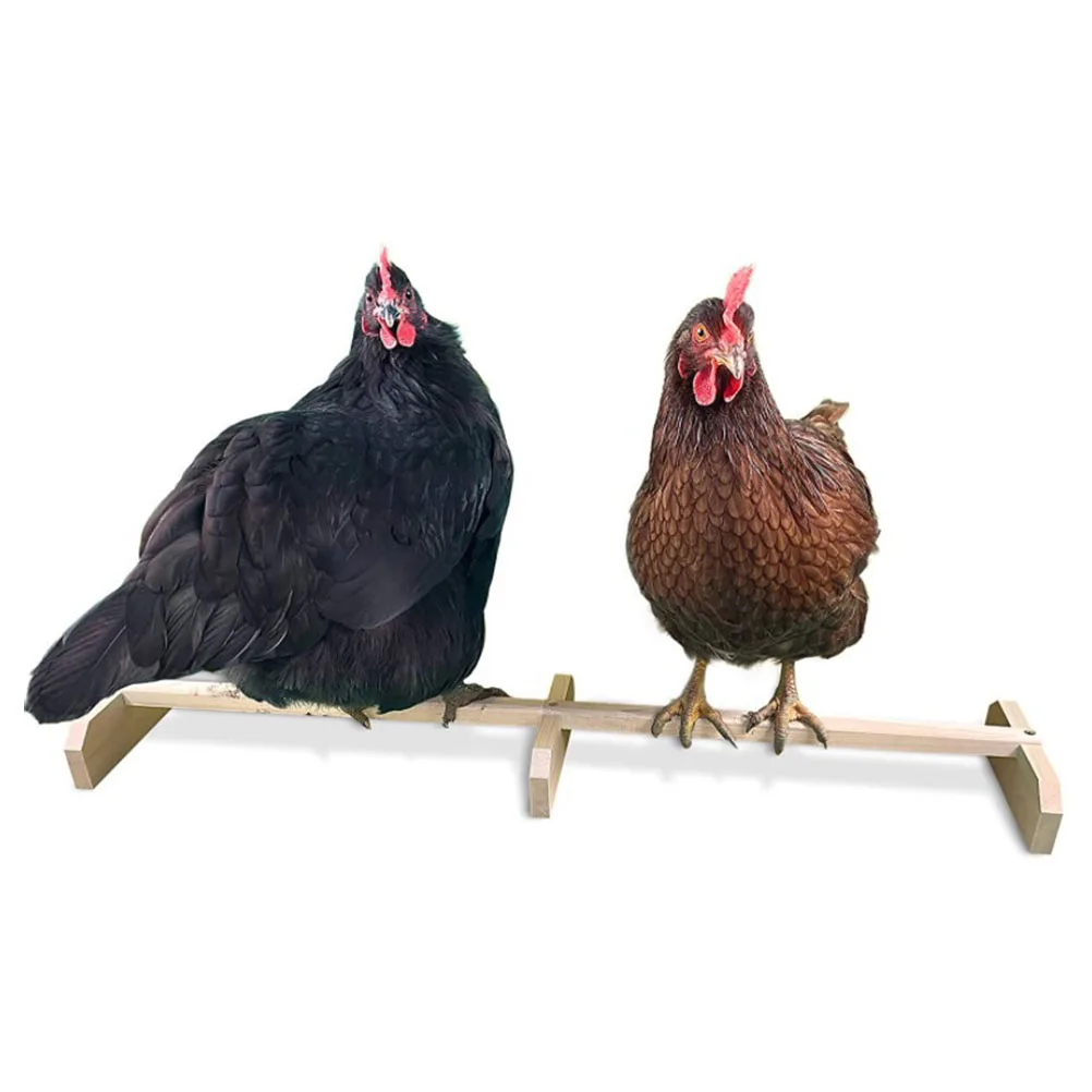 

1pcs Wooden Perch Stand Roosting Bar for Birds Macaw Parrot Coop Supplies Durable Smooth Surface Chicken Roosts And Perches Safe