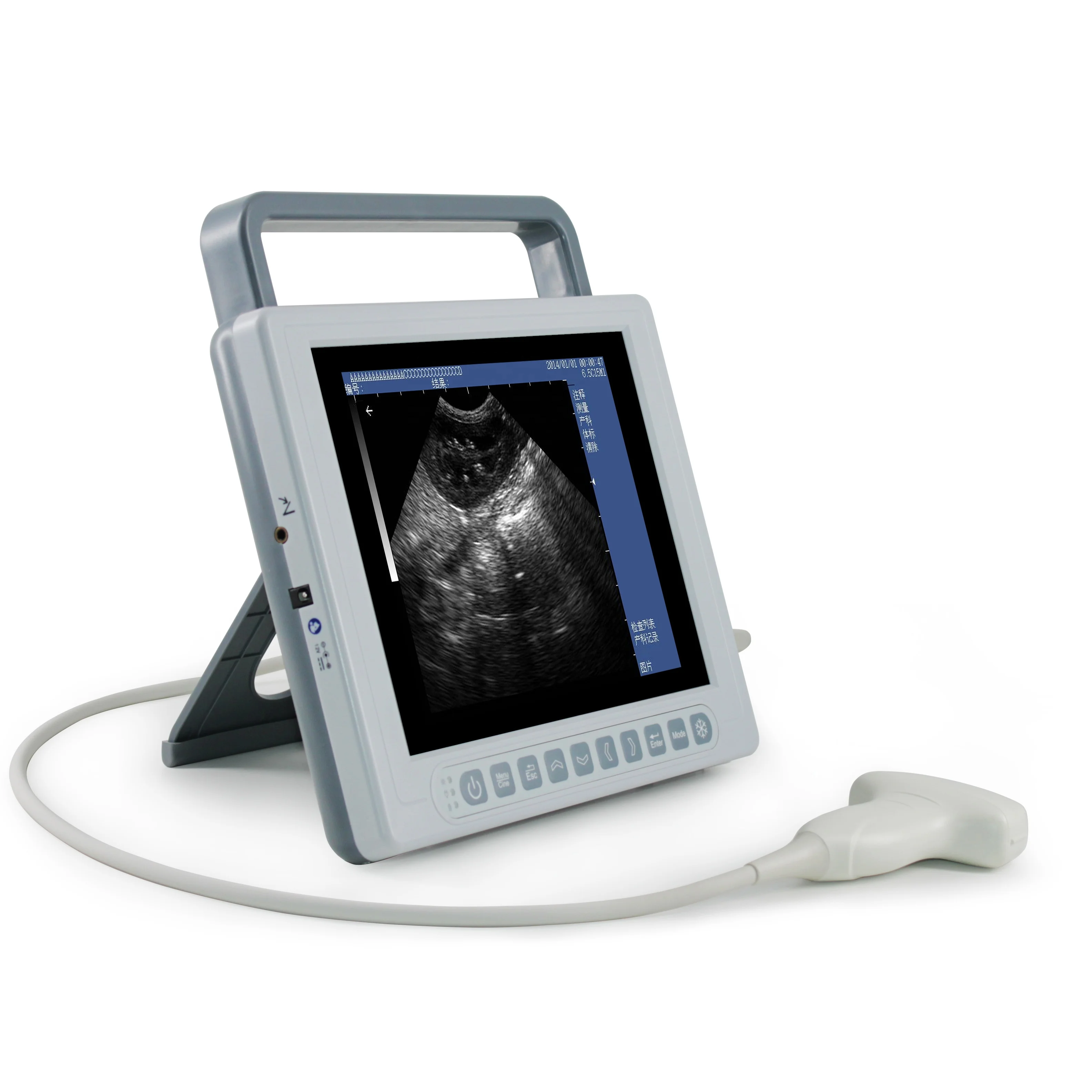 Desktop Laptop Ultrasound Scanner for Dogs Cats MSLPU77 with Micro-convex Probe