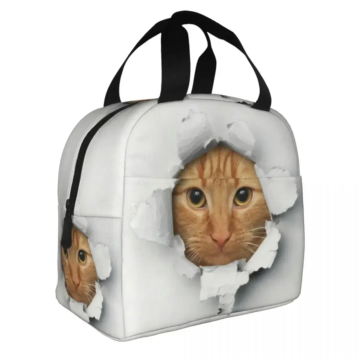 Funny Kitten Tabby Cat Lunch Box Thermal Cooler Food Insulated Lunch Bag for Women School Work Picnic Reusable Tote Bags