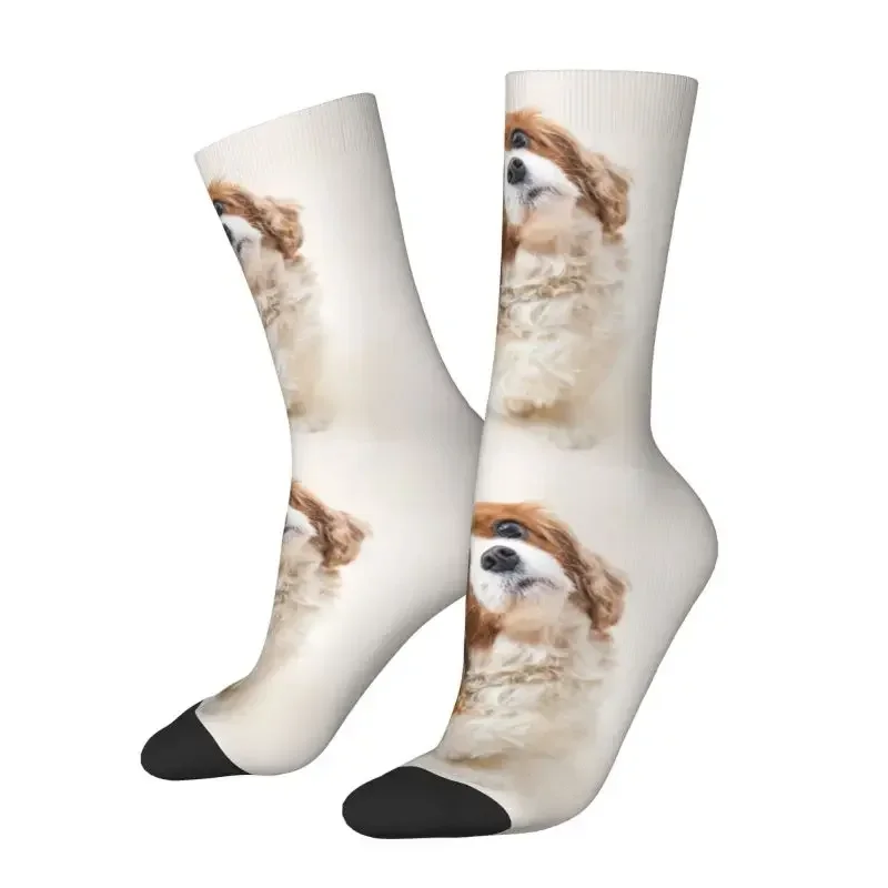 Y2K Novelty Printing Cute Cavalier King Charles Spaniel For Men Women Stretch Summer Autumn Winter Pet Dog Crew Socks