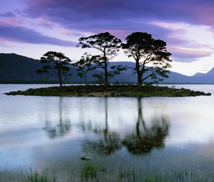 

9006E 1/14 масштаб 4WD RC альпинистский автомобиль, высокоскоростной внедорожный монстр-трак 40 км/ч с большими колесами для взрослых, вездеходный гусеничный автомобиль