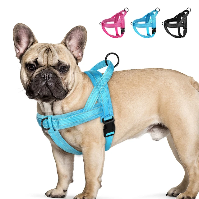 Padded puppy harness sale