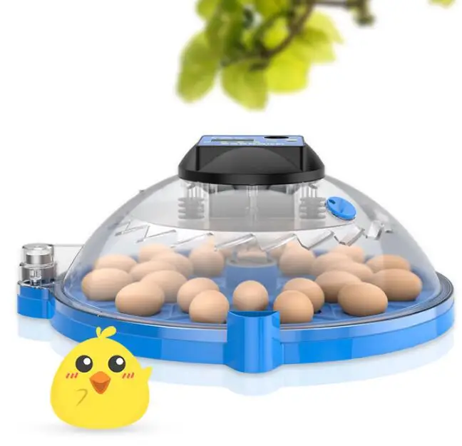 

9/12/16/24/36/48 cps Incubator household incubator Smart parrot bird egg incubator LCD display 12V/240V