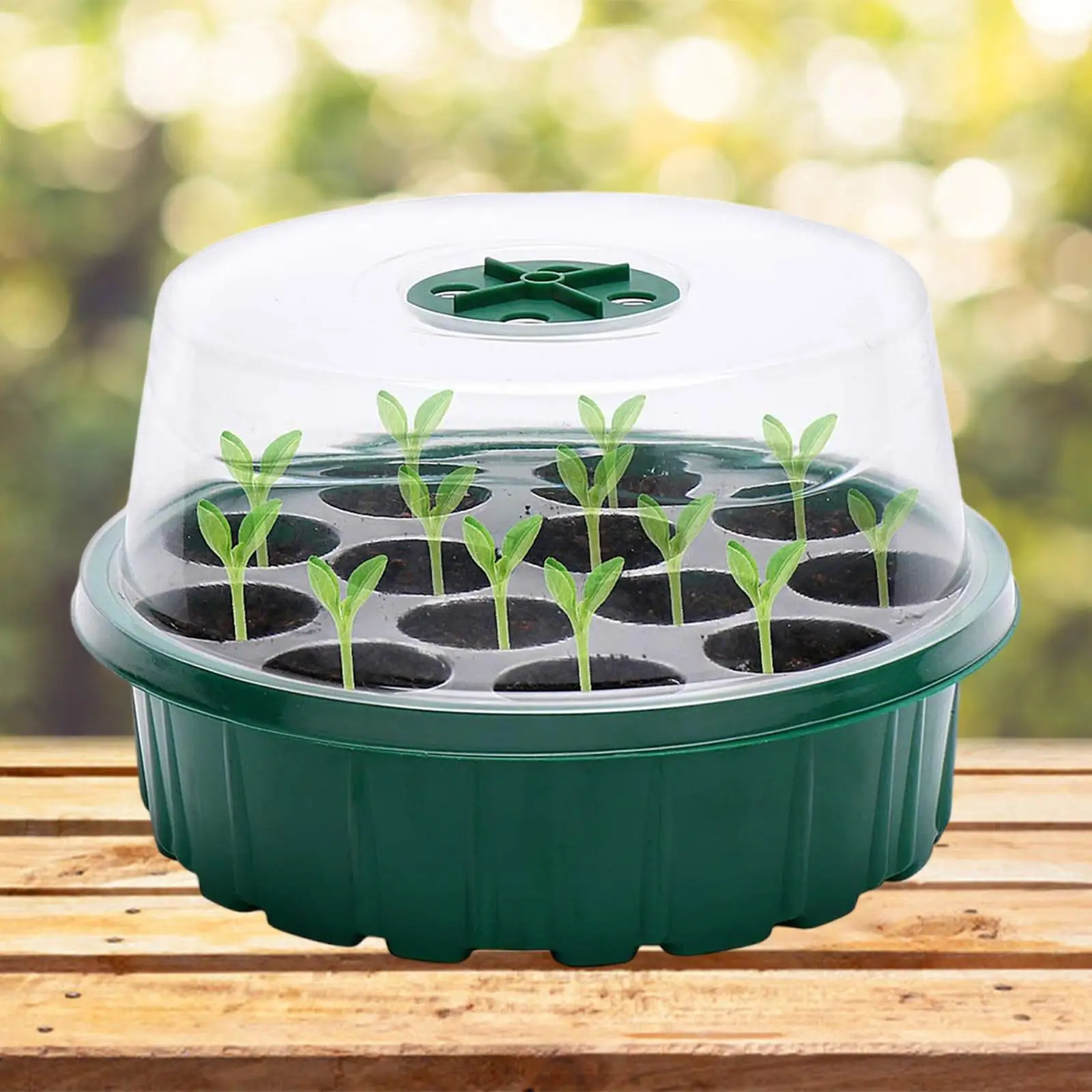 Plastic Seed Tray Kit with 13 Cells Adjustable Humidity Dome Mini Greenhouse Set for Indoor Flower Planting