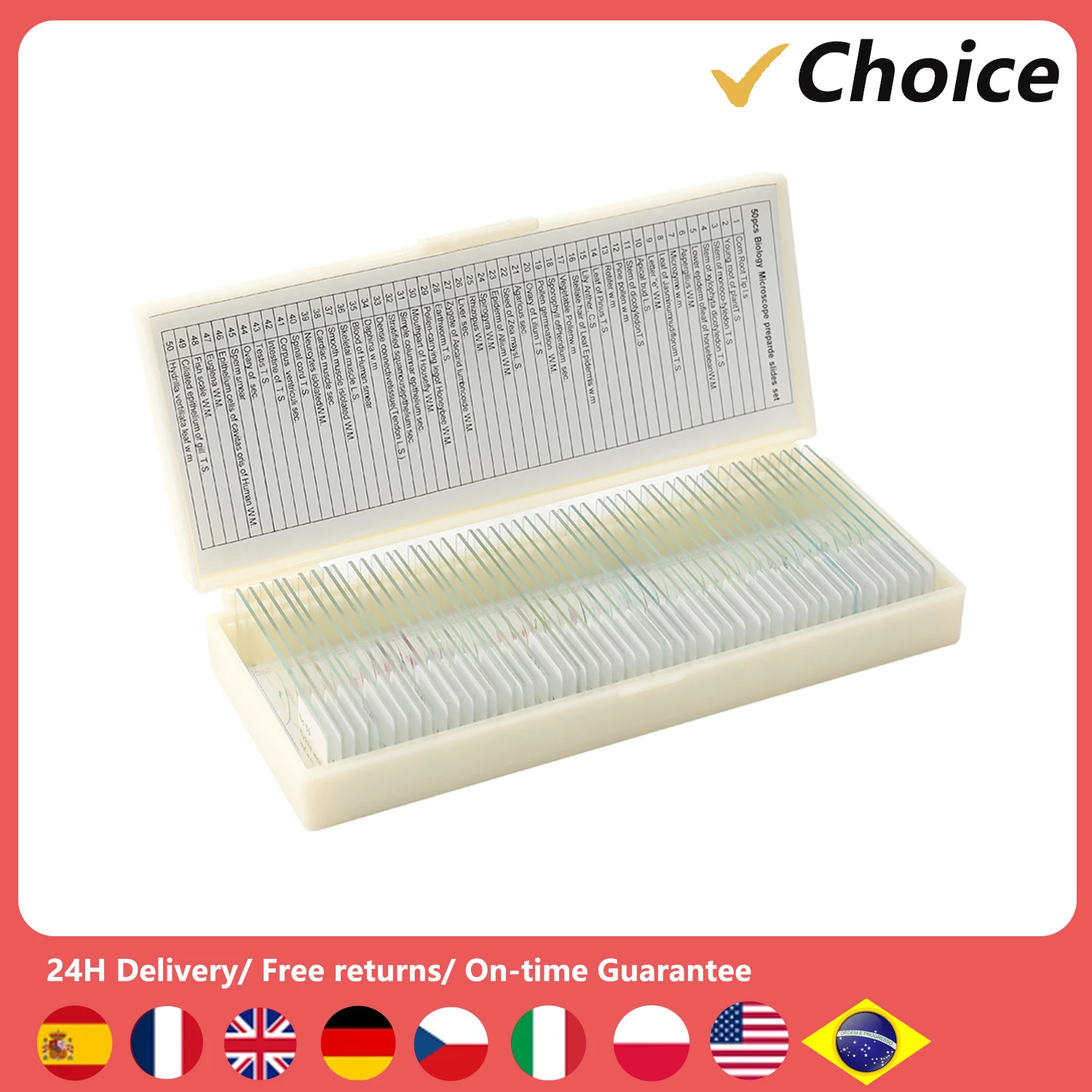 50PCS/Set Biological Glass Sample Prepared Basic Animal Insects Tissues Specimen  Slips Portable Educational Microscope Slides